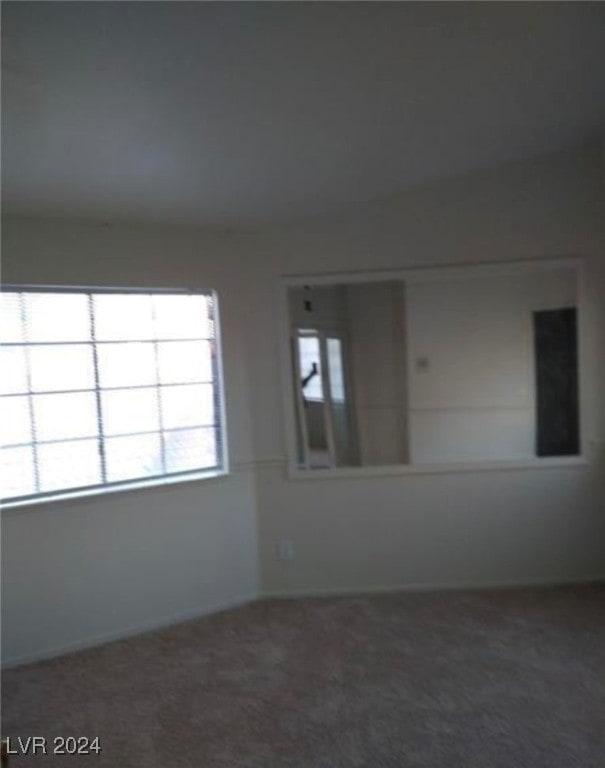 unfurnished room featuring carpet