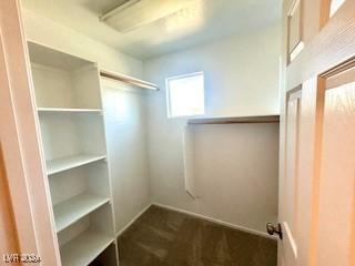 spacious closet with dark carpet