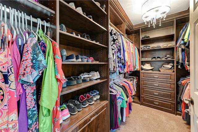 walk in closet featuring carpet floors