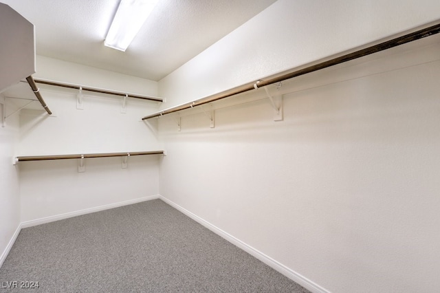 spacious closet with carpet floors