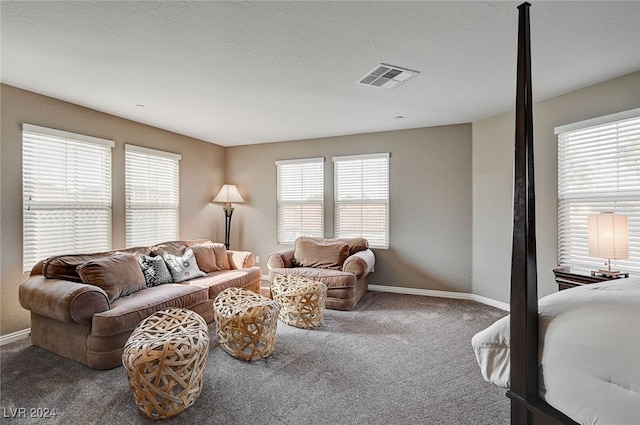 carpeted living room with a textured ceiling and a healthy amount of sunlight