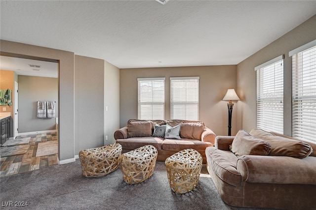 carpeted living room with a textured ceiling and a wealth of natural light