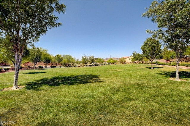 view of home's community featuring a lawn