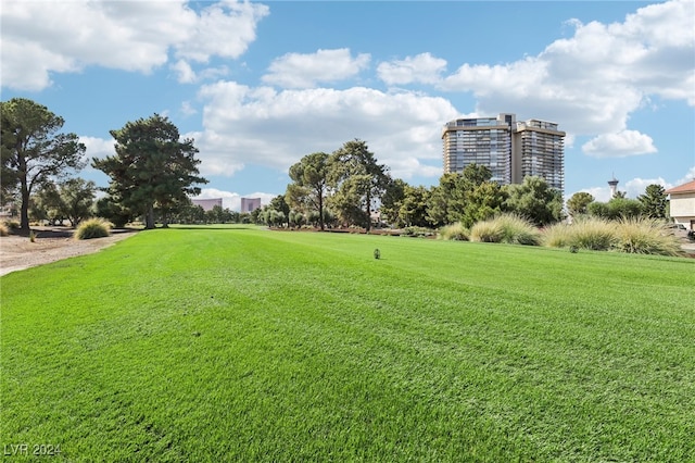 surrounding community featuring a yard