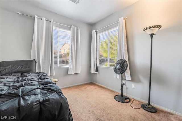 carpeted bedroom with multiple windows