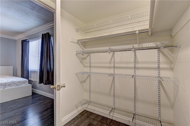 spacious closet featuring dark hardwood / wood-style flooring