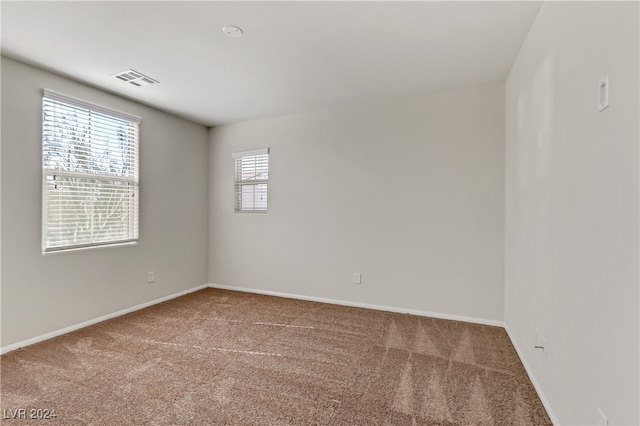 carpeted spare room featuring a wealth of natural light