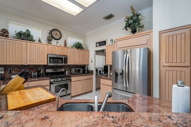 kitchen featuring ornamental molding, stainless steel appliances, sink, and tasteful backsplash