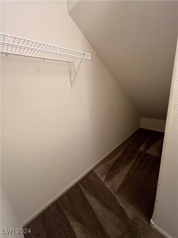 walk in closet featuring vaulted ceiling and carpet flooring