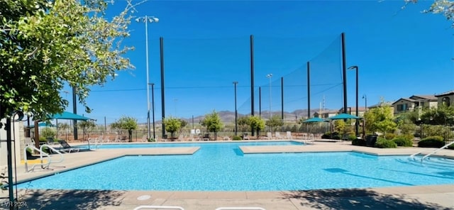 view of pool featuring a patio