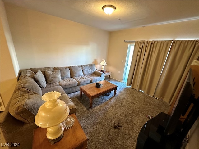 carpeted living room with a textured ceiling