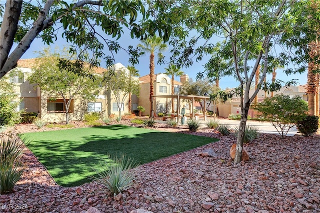 view of yard featuring a patio area