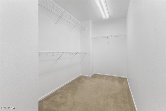 spacious closet featuring light colored carpet