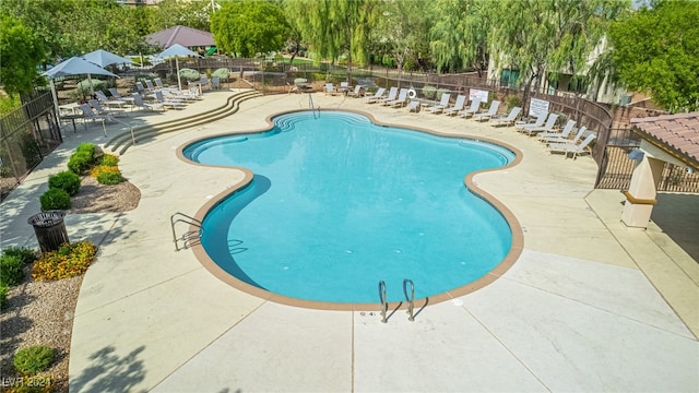 view of swimming pool with a patio area