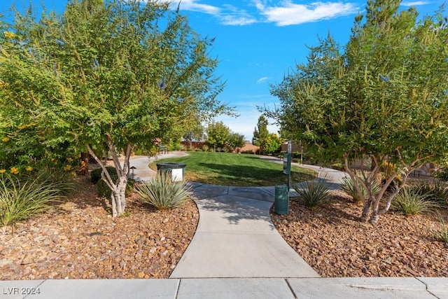 view of home's community featuring a lawn