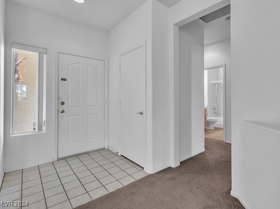 carpeted entryway featuring a wealth of natural light