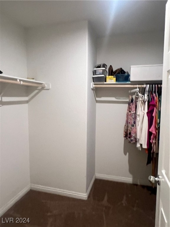 spacious closet with dark colored carpet