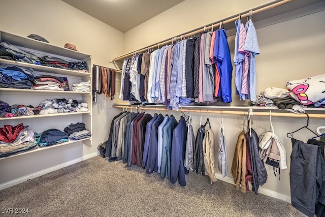 walk in closet with carpet