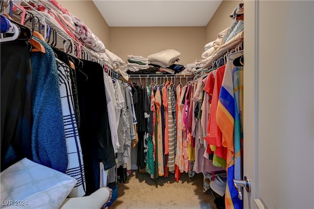 spacious closet featuring carpet flooring