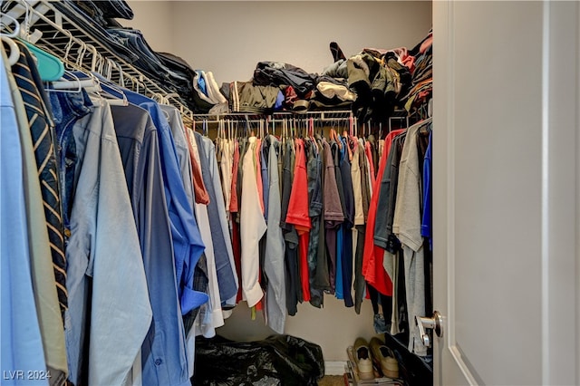 view of spacious closet