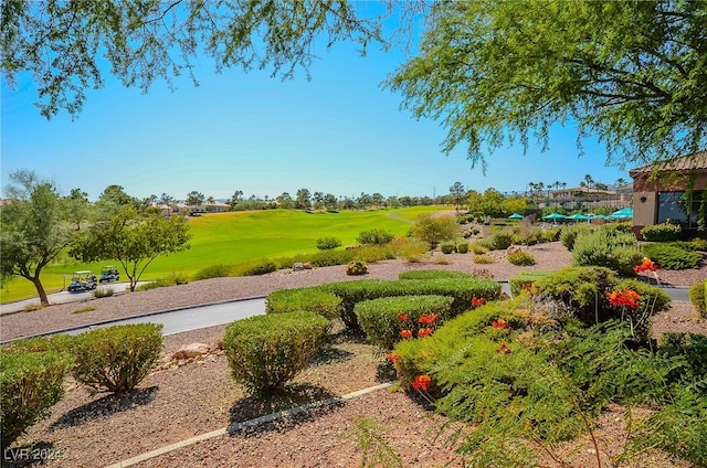 view of home's community with a lawn