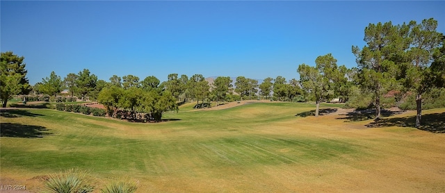 surrounding community featuring a lawn