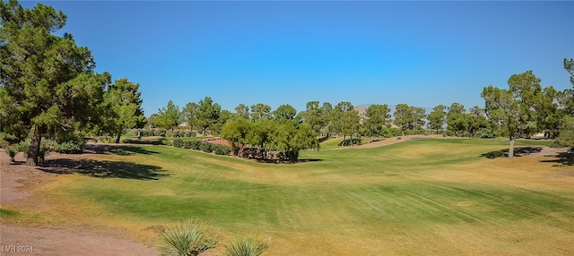 view of community featuring a lawn