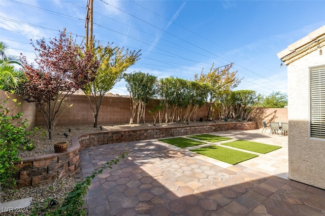 view of yard with a patio