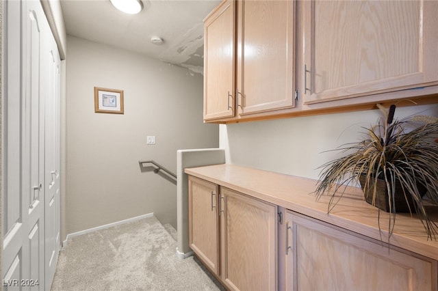 laundry room with light carpet