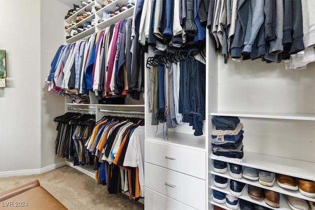 walk in closet with carpet floors