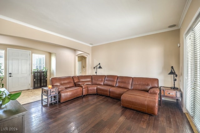 living room featuring crown molding, plenty of natural light, and wood finished floors