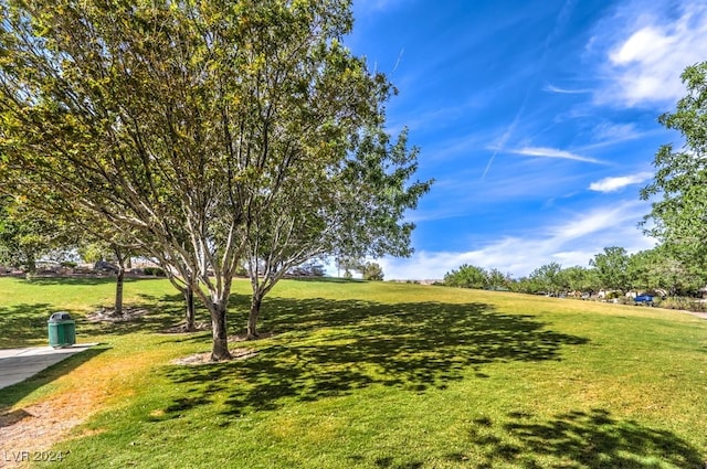 view of community with a yard