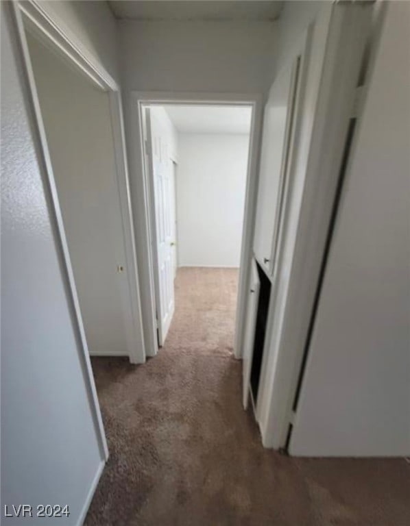 hallway featuring carpet flooring