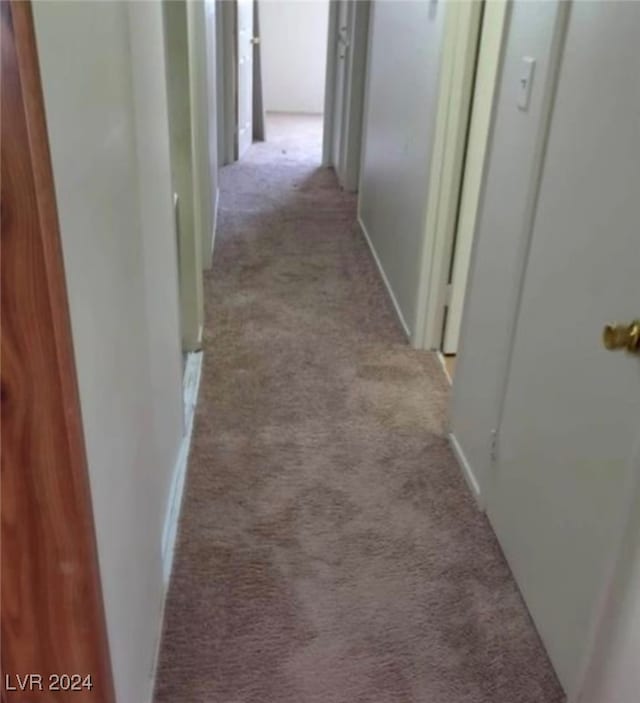 corridor with light colored carpet