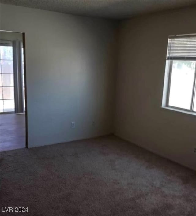 unfurnished room featuring carpet