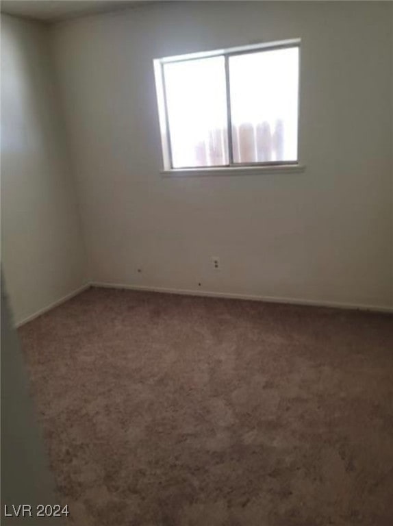 spare room with carpet