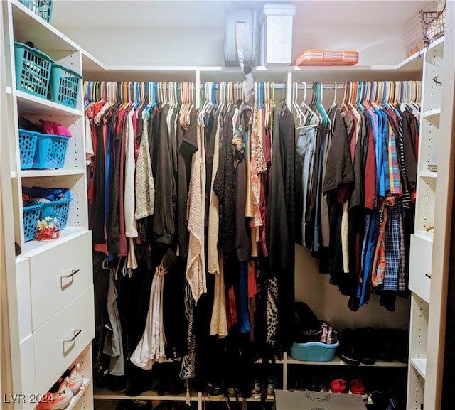 view of walk in closet