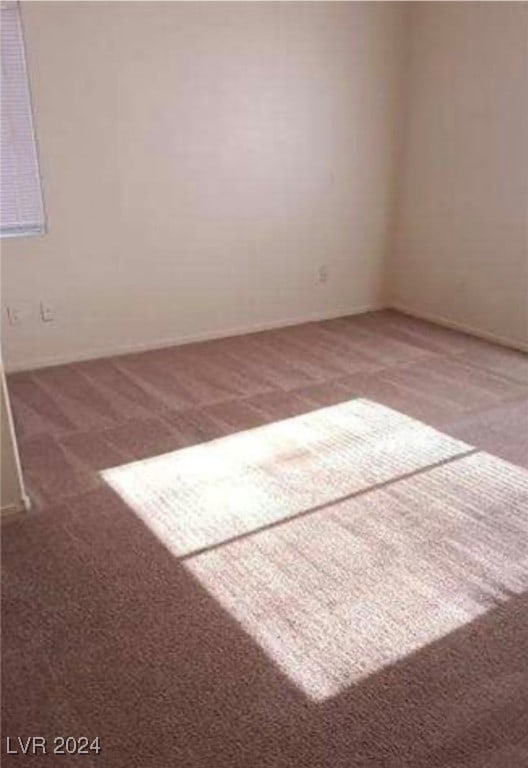 unfurnished room with carpet floors