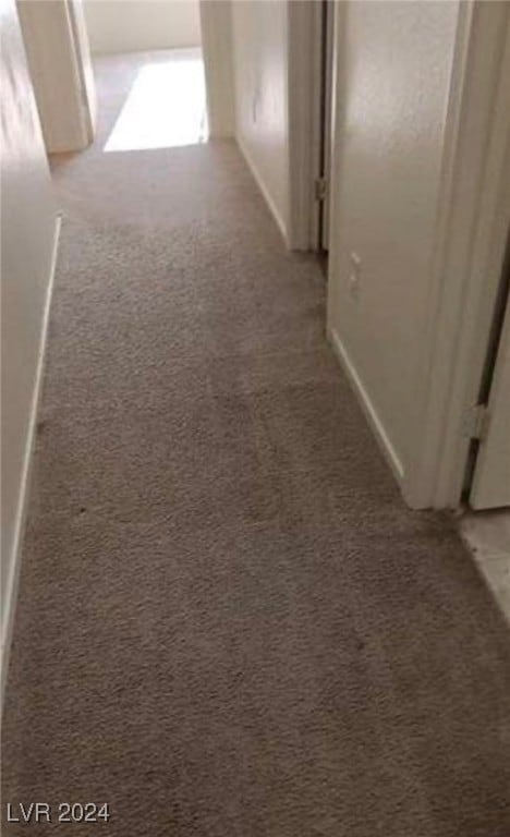 hallway with carpet floors