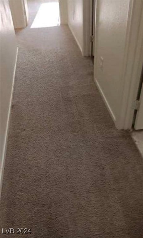 hall featuring carpet flooring