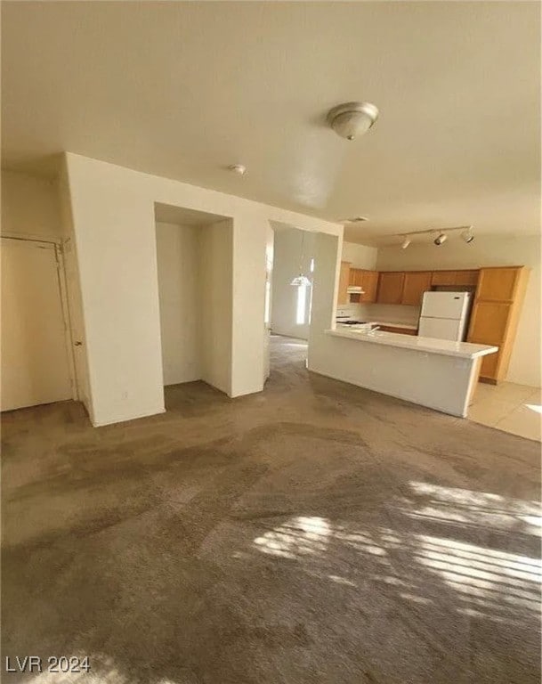 unfurnished living room with light carpet