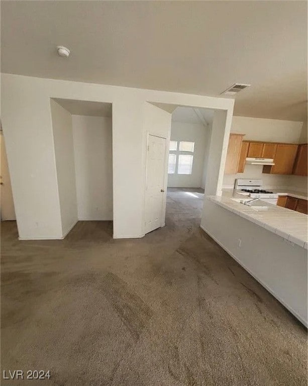 unfurnished living room with dark colored carpet