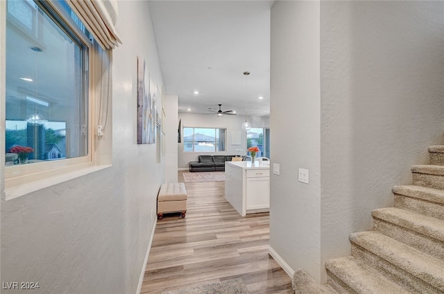 hall with light hardwood / wood-style flooring