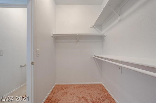 spacious closet featuring light colored carpet