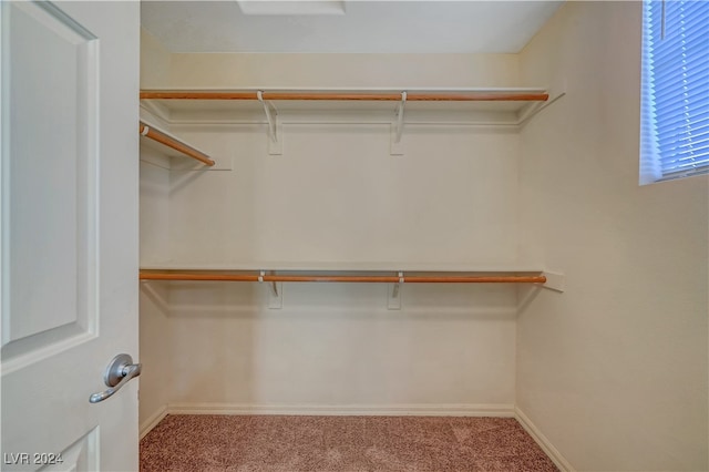 spacious closet with carpet