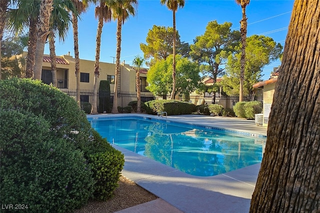 view of swimming pool