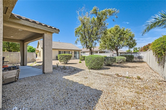 view of yard featuring a patio