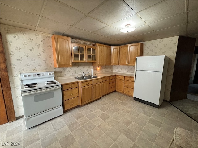 kitchen with a paneled ceiling, white appliances, and sink