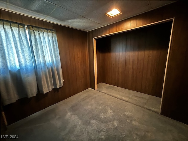 basement featuring wood walls and carpet