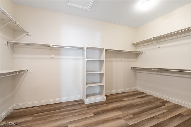 spacious closet featuring dark hardwood / wood-style flooring